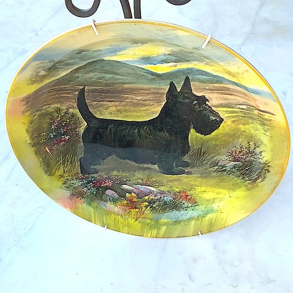 ROYAL DOULTON DOGS BREAD SCOTTISH TERRIER PLATE 10 1/2 INCH MADE IN ENGLAND - Picture 5 of 7